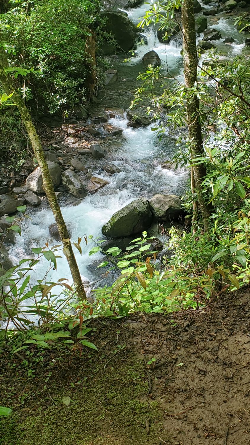 Porters Creek to Fern Falls 